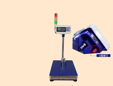 英展電子秤U盤存儲