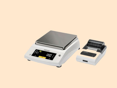 BSA6202-1CCN 賽多利斯天平 6200g 10mg